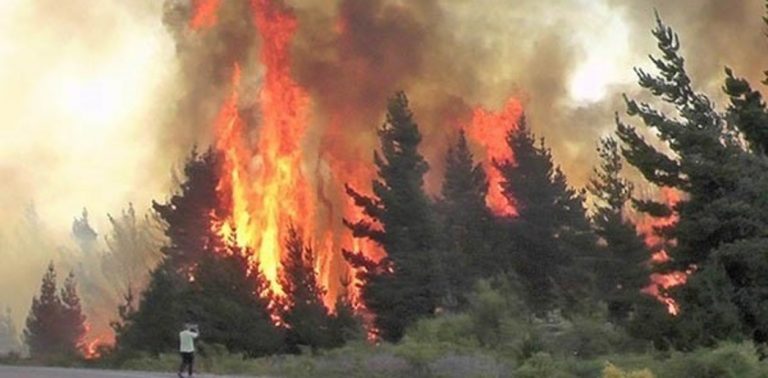 Incendio forestal en Chubut: ascienden a dos mil las hectáreas afectadas en Epuyén
