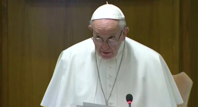 El Papa llamó a la Iglesia a "curar las graves heridas" de la pedofilia