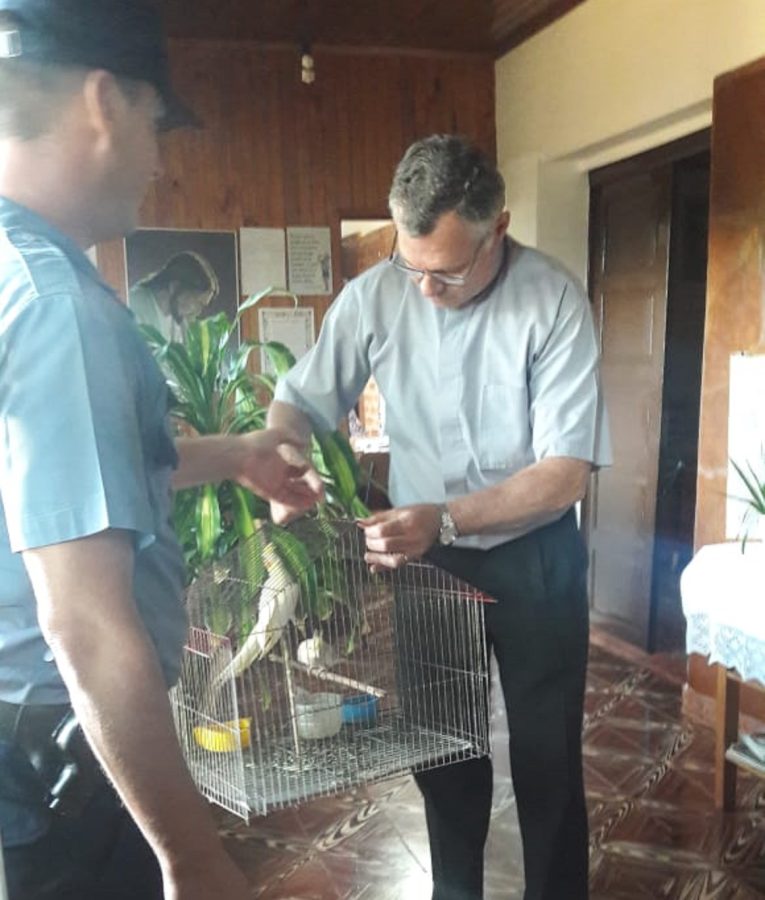 Detuvieron a un joven acusado de robar hasta las aves enjauladas en una Parroquia