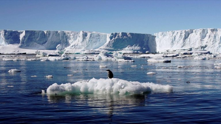 Deshielo: la Antártida se divide en icebergs gigantes