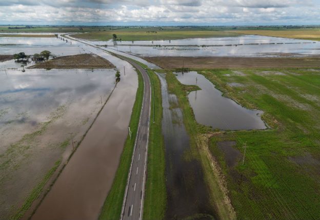 Soja: las inundaciones generaron pérdidas de más de 450.000 hectáreas sembradas