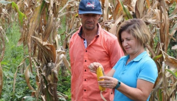 Agricultura Familiar: evaluaron el proceso del Programa MA’ETY, destinado al incremento del maíz