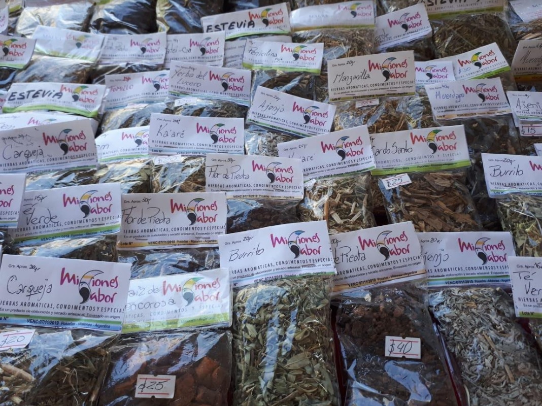 Producción de hierbas medicinales: una tradición familiar que se transmite