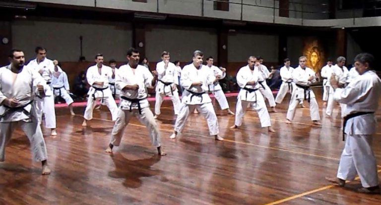 Karate Do: el próximo fin de semana realizarán en Posadas un seminario provincial