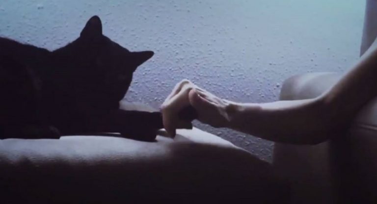 El emotivo momento en que una mujer con parkinson logra acariciar a su gato