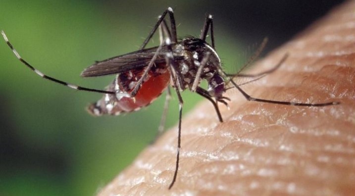 Nación emitió alerta epidemiológico por dengue