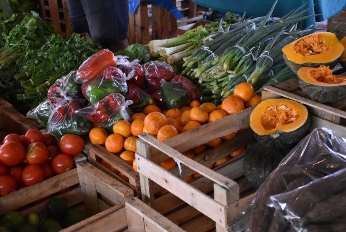 Llevarán a cabo la 2° edición de Plazas de la Soberanía Alimentaria en Posadas, Oberá y Wanda