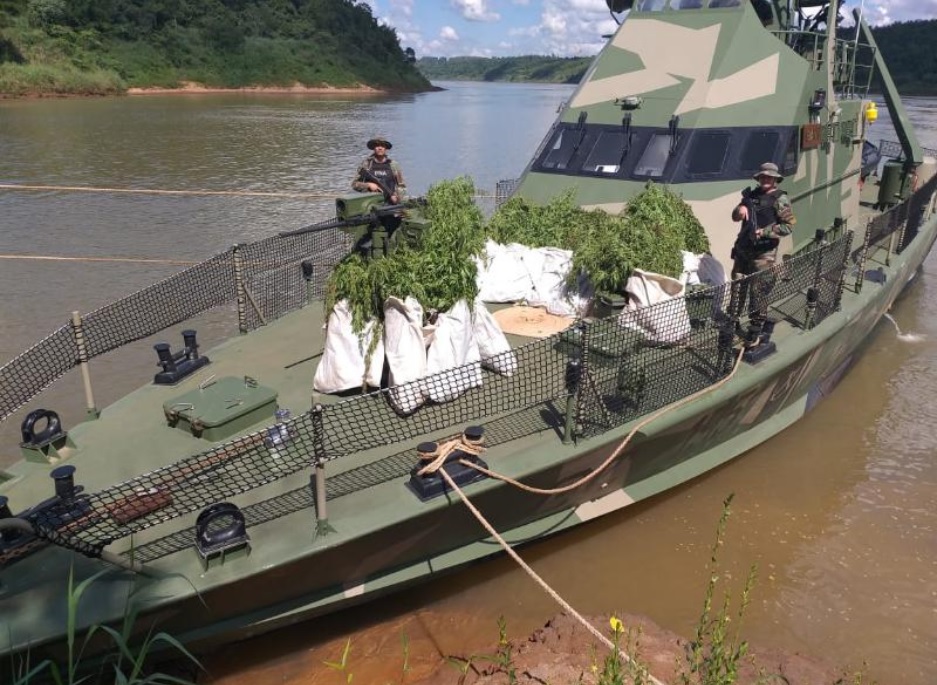 Incautaron más de 1800 plantas de marihuana en cercanías de Puerto Iguazú