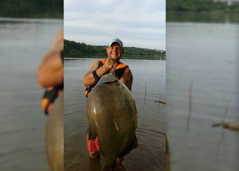 Río Paraná: en Puerto Rico pescaron un Pacú de 26 kilos