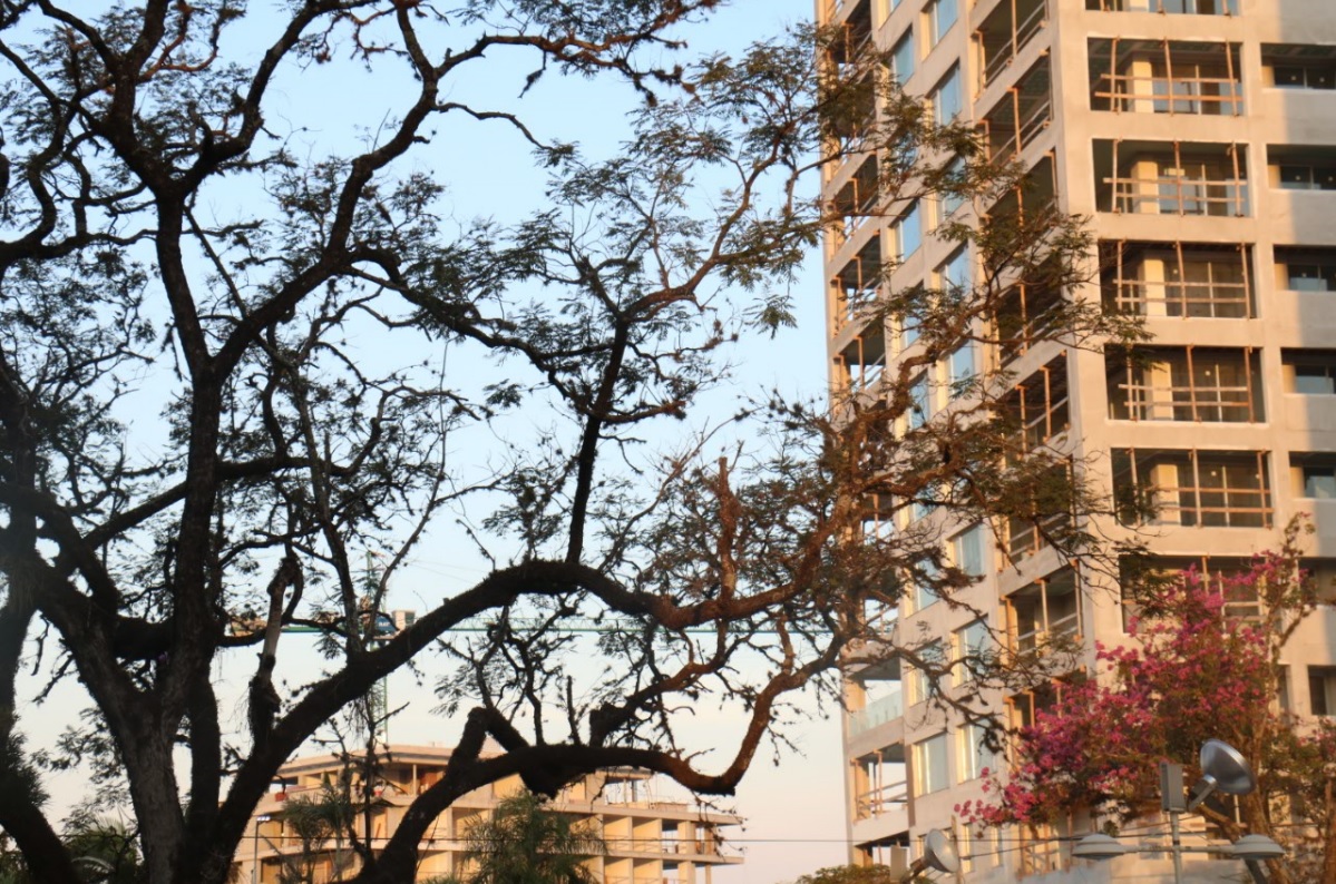 Miércoles con buen tiempo en toda la Provincia