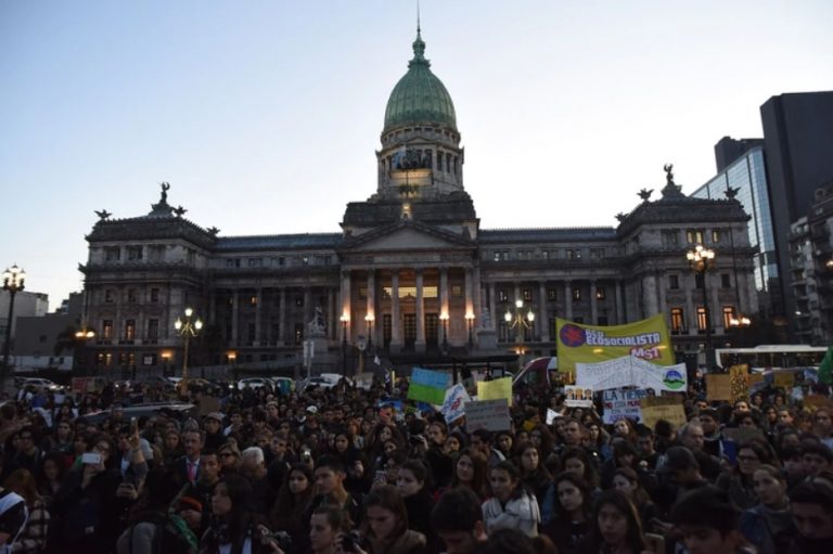 Los jóvenes pidieron que se declare la emergencia ambiental en la Argentina