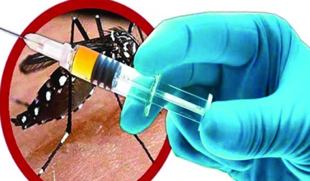 EE.UU. aprobó una vacuna contra el dengue