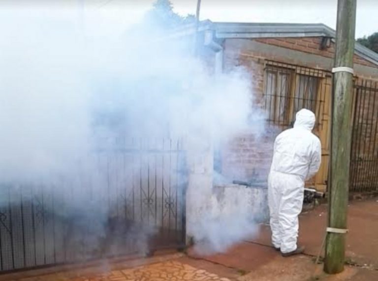 Montecarlo: realizan distintas tareas para combatir el dengue