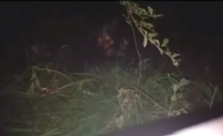 Candelaria: se viralizó un video en donde aparecería el Lobizón