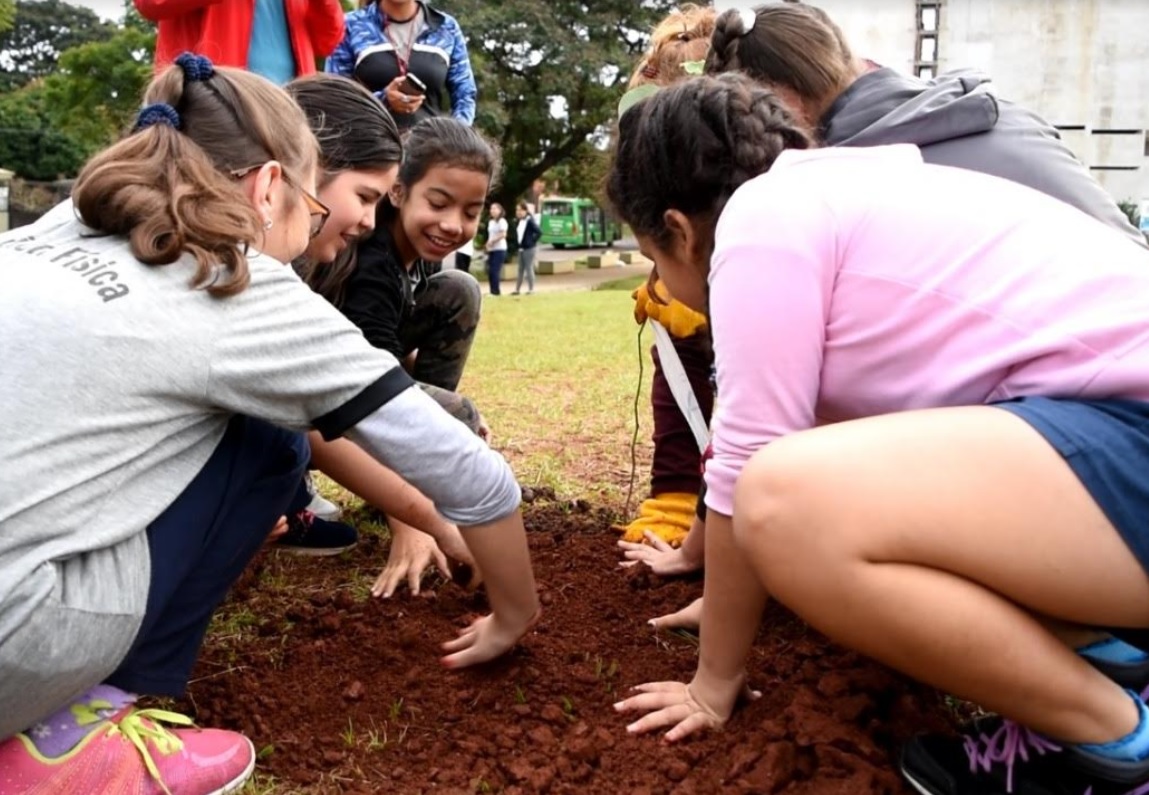 Programa 20.000 árboles: alumnos de la escuela 528 plantaron especies nativas