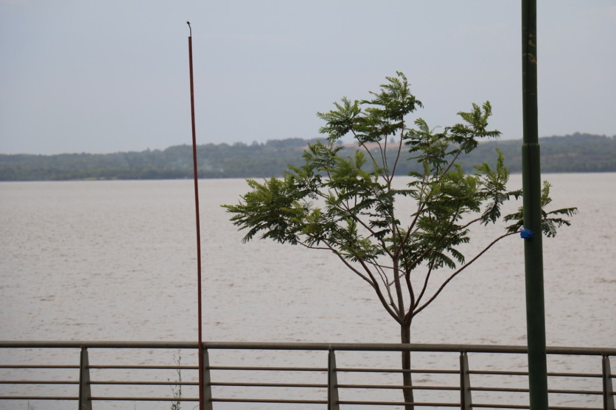 Tiempo: martes inestable, se espera que el frente permanezca semi estacionario en la región