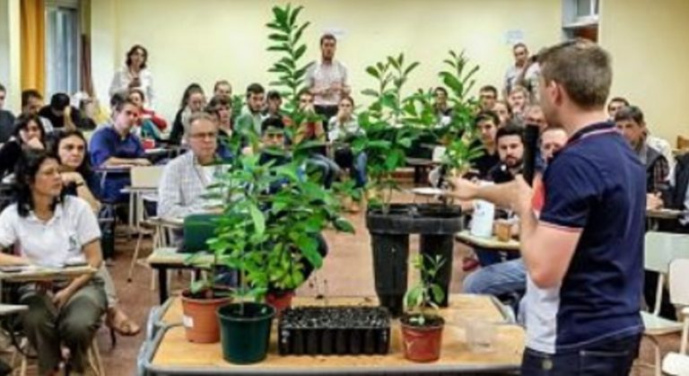 La UNaM presentó un manual de propagación vegetativa de plantines de yerba mate
