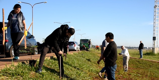 Programa “20.000 árboles”: plantaron ejemplares en la playa de Miguel Lnús