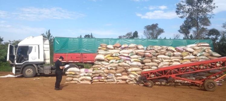 Contrabando: incautaron 155 toneladas de soja en Eldorado