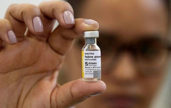 Brasil: recomiendan vacunarse contra la fiebre amarilla a los hinchas que viajen a la Copa América