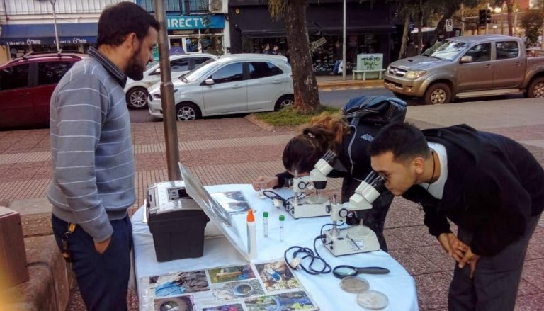 Se llevan a cabo tareas de concientización y sensibilización sobre el dengue en la plaza San Martín