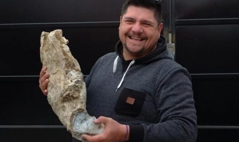 Compró tierra y encontró restos de un animal prehistórico que podría tener más de 10.000 años