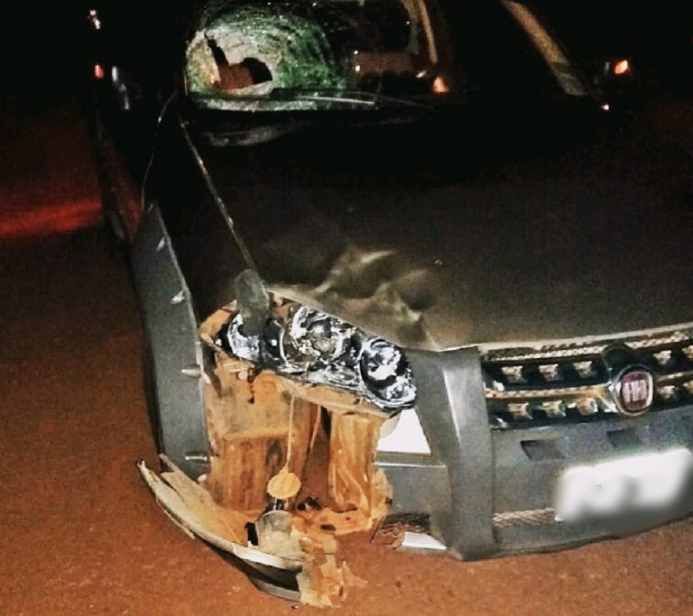Gobernador López: un hombre fue embestido por un auto en ruta 215 y falleció en el acto