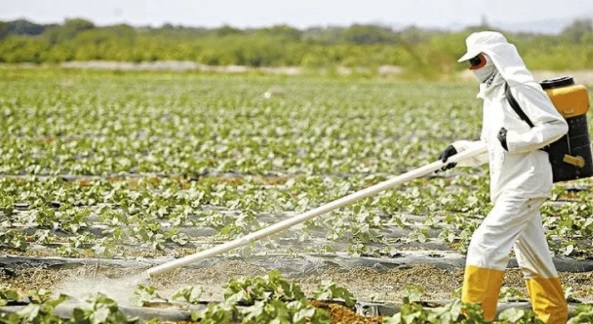 Brasil: Bolsonaro aprobó otros 51 agrotóxicos y logra récord de venenos autorizados