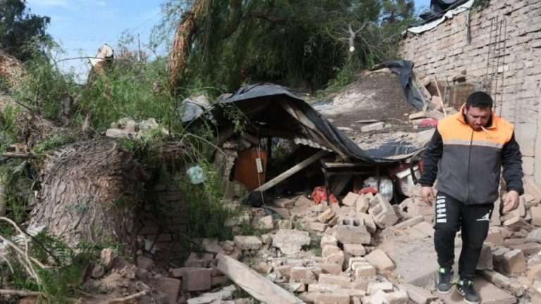 Mendoza: mujer murió aplastada por árbol que cayó sobre su casa por fuertes vientos