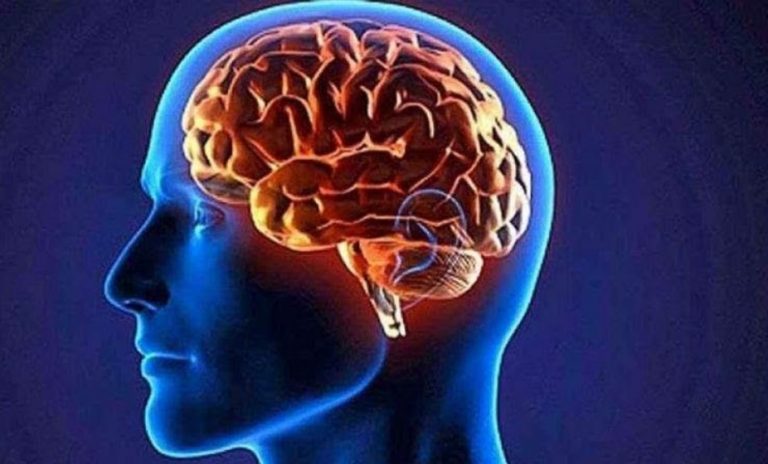 Los efectos que produce el silencio en el cerebro