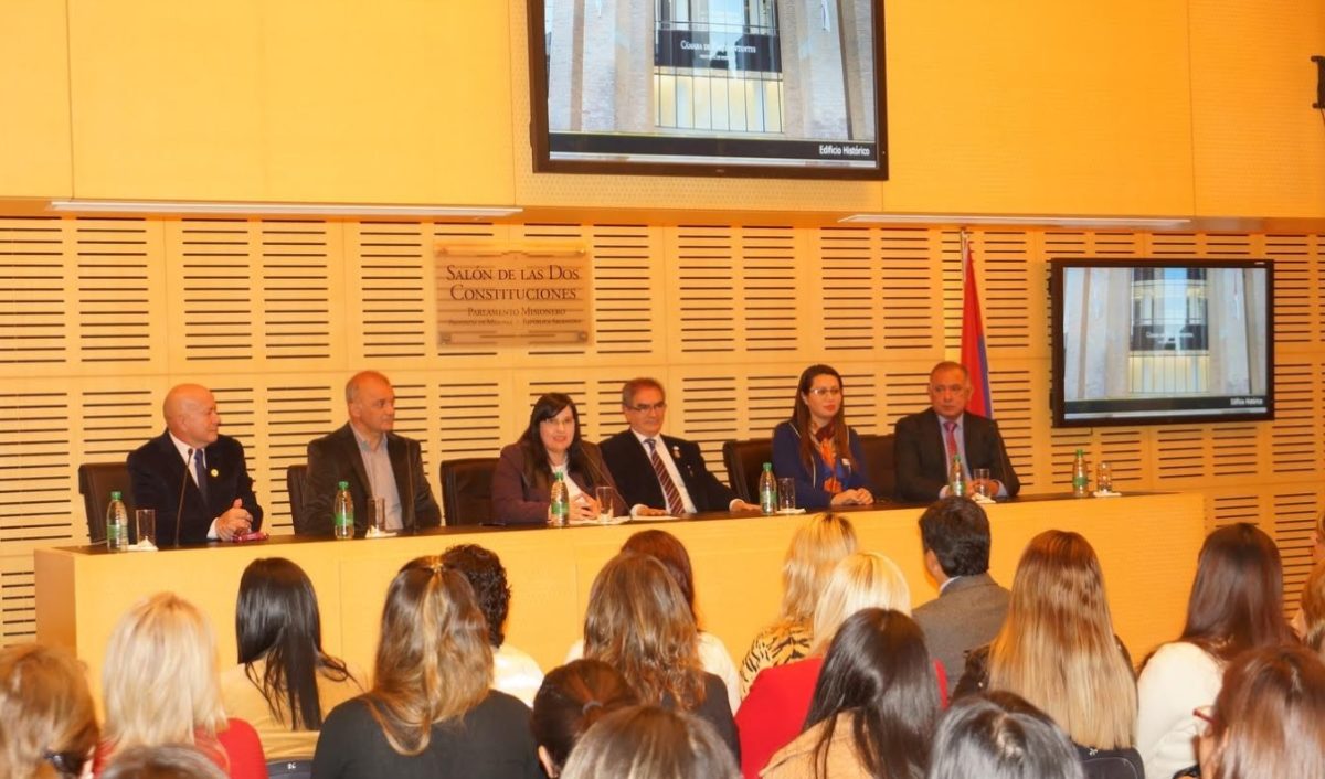 Profesionales del NEA se reunieron en la Legislatura para potenciar la carrera de Enfermería