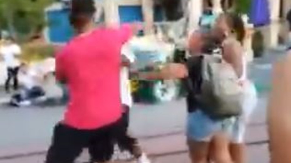 Batalla campal en un parque de diversiones de Disney hizo llorar a los chicos
