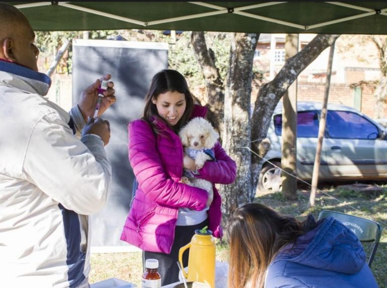 Vacunaron a más de 100 mascotas en Oberá