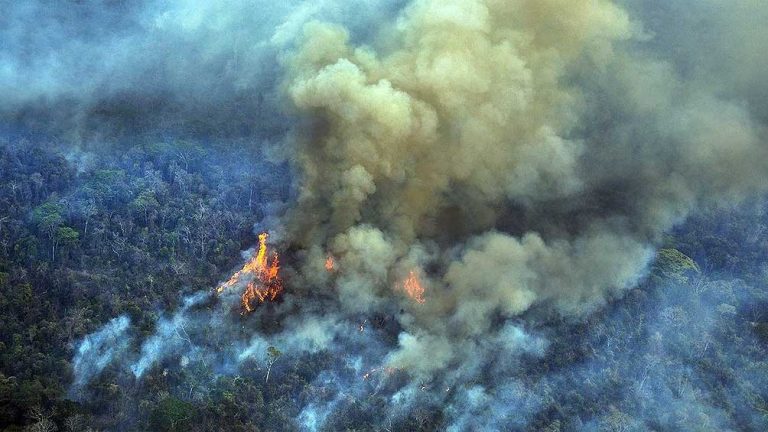 Bolsonaro culpó a las ONGs por el fuego en el Amazonas: "Quieren derrocarme"