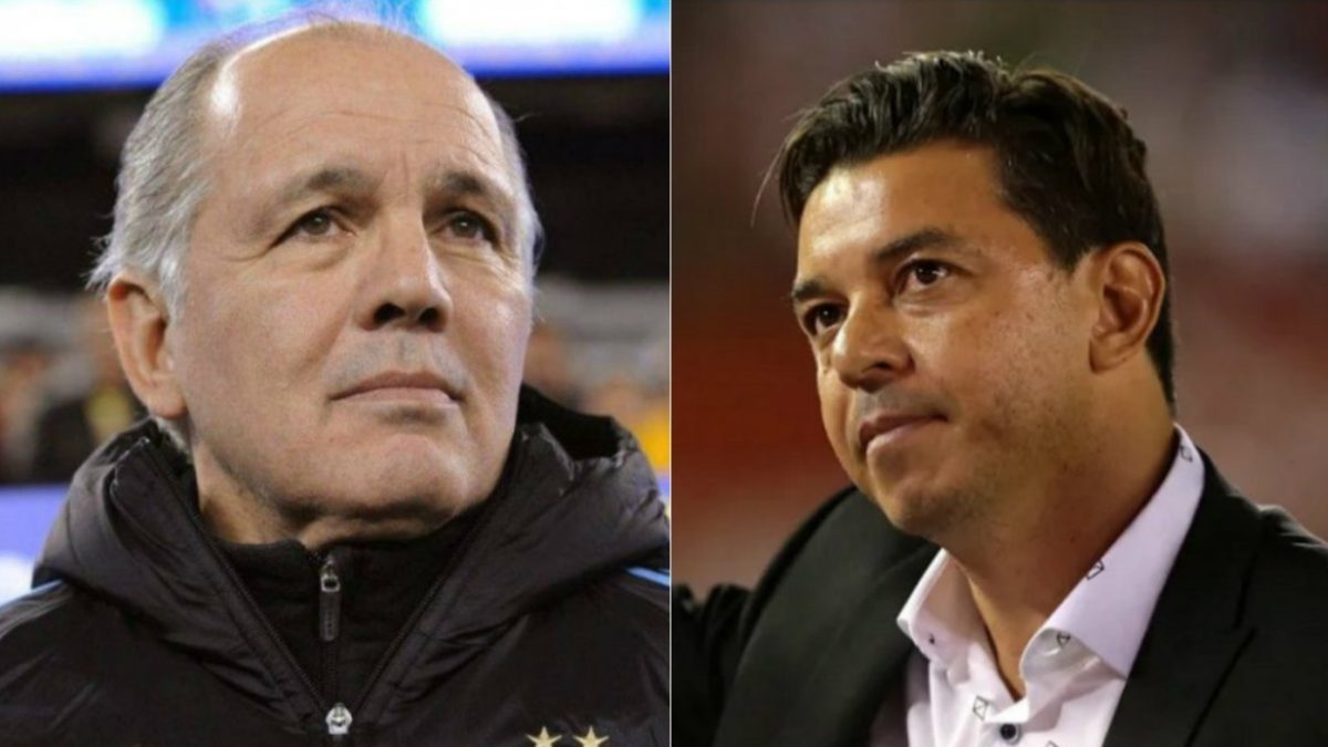 Sabella, sobre Gallardo: “Tiene un manual ilustrado en la cabeza”