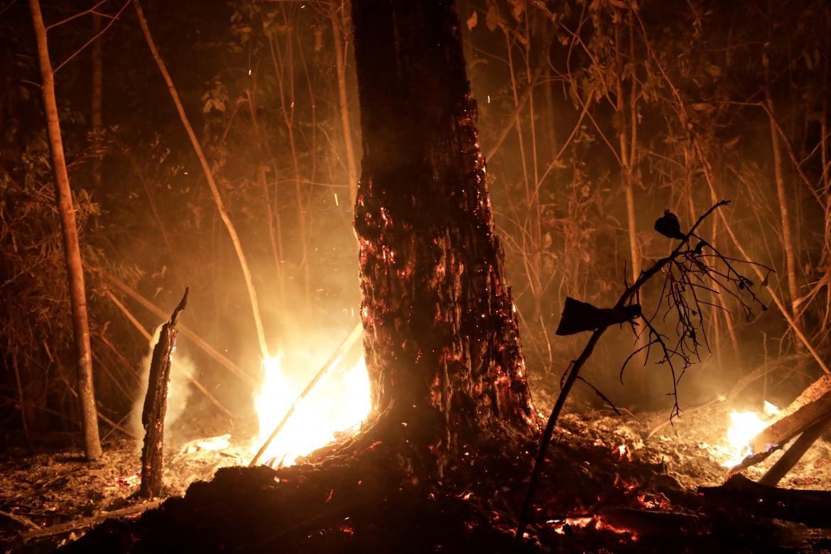 Incendios en el Amazonas: estados brasileños piden ayuda militar para combatir las llamas