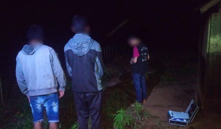 Mado: incautaron plantaciones de marihuana en el patio de una vivienda