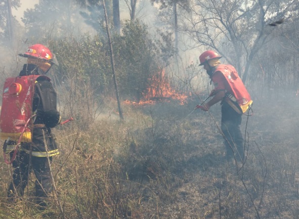 Continúan sofocando el incendio en el campo San Juan: hasta el momento afectó a 50 hectáreas
