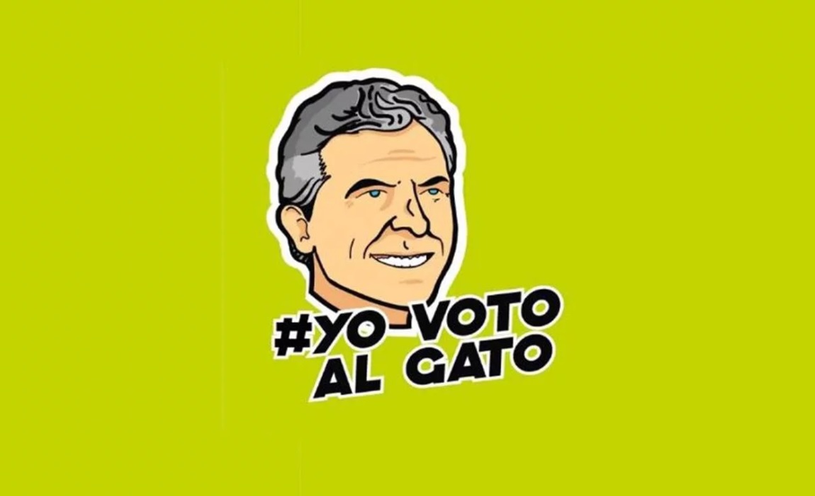 En el día internacional del gato, se viraliza una insólita campaña del macrismo