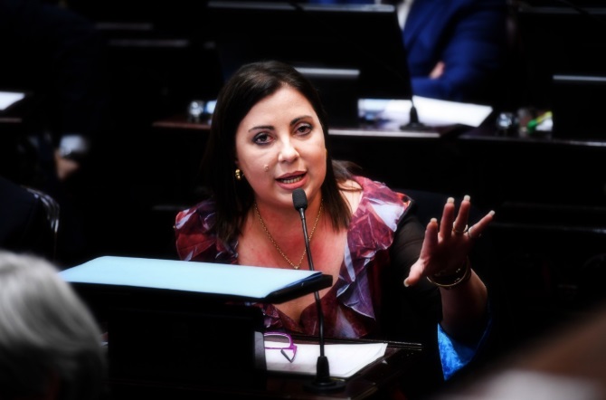 Senadora Solari Quintana plantea posible insconstitucionalidad de decretos de rebaja de IVA y compensación de Ganancias