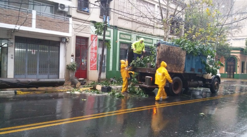 La tormenta de Santa Rosa provocó voladura de techos y caída de árboles en Posadas