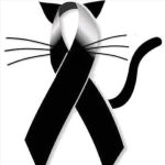 WhatsApp Image 2019 08 12 at 08.34.38 1 - 71