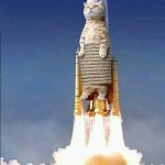 WhatsApp Image 2019 08 12 at 08.34.39 - 69