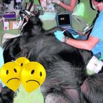 WhatsApp Image 2019 08 12 at 08.34.57 - 45