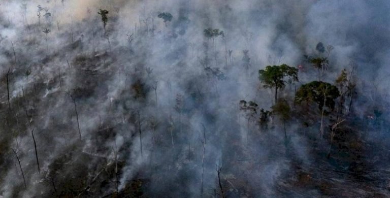 Amazonía: Brasil rechazó ayuda del G7 y asegura que las llamas "están bajo control"