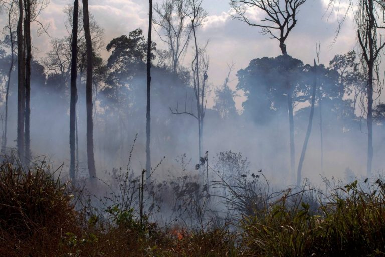 Cómo se preparan los bomberos argentinos que combatirán el fuego en Amazonía
