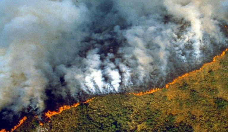 Francia e Irlanda amenazan con bloquear acuerdo entre Mercosur y UE por incendios en Amazonia