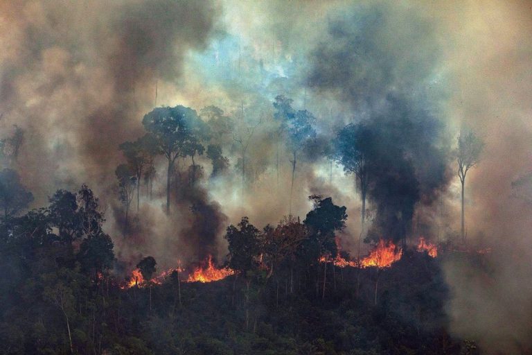 Incendios en el Amazonas: Argentina enviará brigadistas y helicópteros