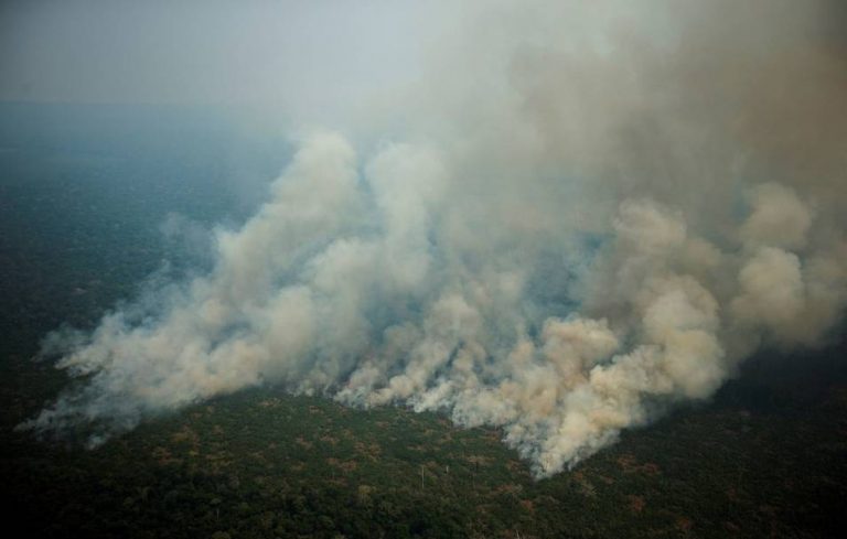 Incendio en el Amazonas: unos 400 bomberos voluntarios argentinos se ofrecieron para combatir incendios