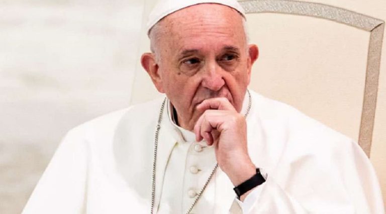 El papa Francisco calificó a la Amazonia como "pulmón forestal vital"